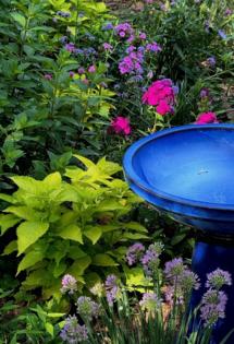 Norman Winter/Norman Winter/TNS