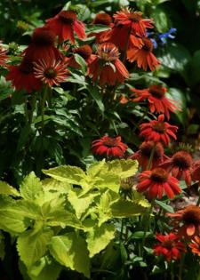 Norman Winter/Norman Winter/TNS