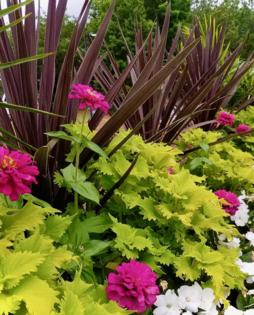 Norman Winter/Norman Winter/TNS