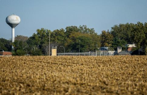 Tess Crowley/Chicago Tribune/TNS