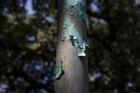 Christiana Botic/KFF HEALTH NEWS/TNS