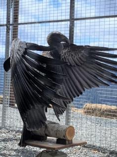 U.S. Fish & Wildlife Service/TNS