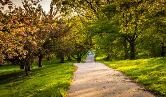 Jon Bilous/Dreamstime.com/TNS