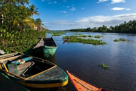 A view along the Orinoco River, a crucial waterway in Venezuela.
              Wojtek Zagorski/Moment via Getty Images