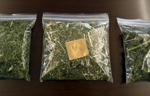 Most states have passed laws legalizing marijuana for recreational or medical use, but the drug remains illegal under federal law.
              AP Photo/Thomas Peipert