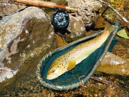 Kenneth Cope/Dreamstime/TNS