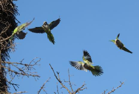 John J. Kim/Chicago Tribune/TNS