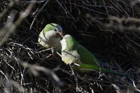 John J. Kim/Chicago Tribune/TNS