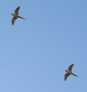 John J. Kim/Chicago Tribune/TNS