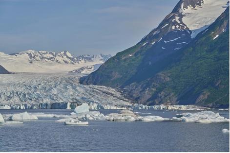 Spencer Glacier in the Kenai Mountains: This lake, and the icebergs in the lake, have become a significant tourist attraction along the Alaska Railroad.
              Louis Sass