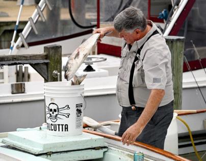 Kim Hairston/Baltimore Sun/TNS