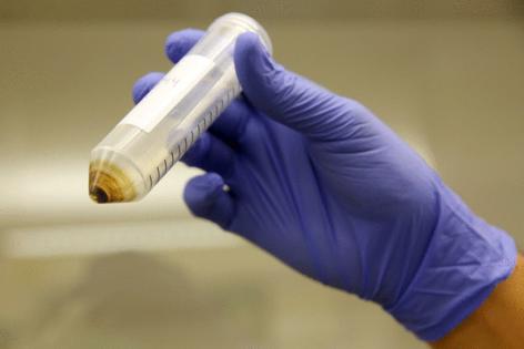 Dania Maxwell/Los Angeles Times/TNS