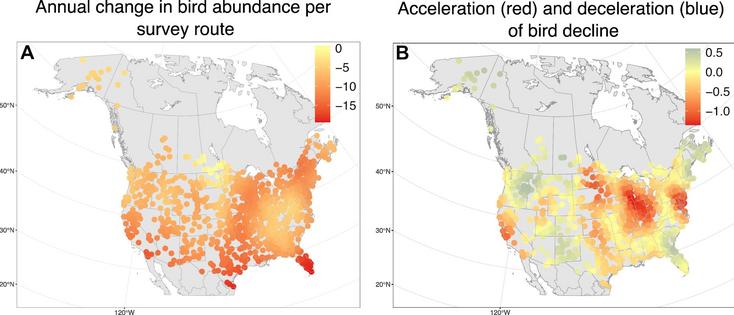 Maps from a new study show changing bird population sizes and where those losses are accelerating.
              François Leroy, Marta A. Jarzyna and Petr Keil, 2026