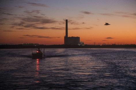 Douglas R. Clifford/Tampa Bay Times/TNS