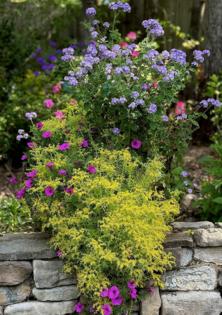 Norman Winter/Norman Winter/TNS