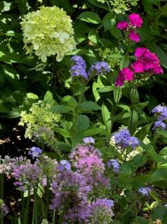 Norman Winter/Norman Winter/TNS