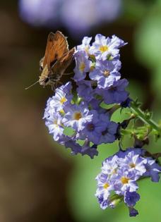 Norman Winter/Norman Winter/TNS