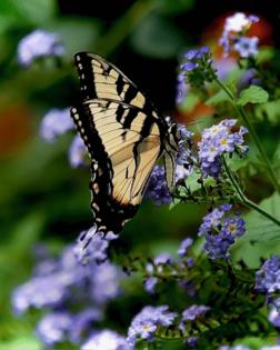 Norman Winter/Norman Winter/TNS