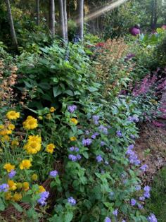 Norman Winter/Norman Winter/TNS