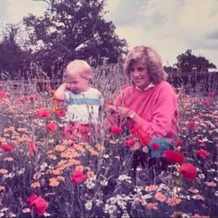 Bang Showbiz / Prince William's tribute to Princess Diana.