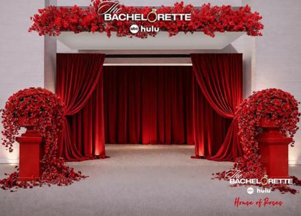 The Bachelorette/The Bachelorette/TNS