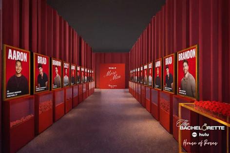 The Bachelorette/The Bachelorette/TNS