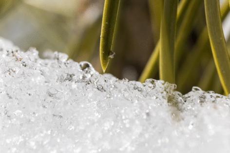 Xavier Mascareñas/California Department of Water Resources/TNS/TNS