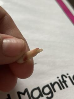 (Geneva Reynolds)/KFF HEALTH NEWS/TNS