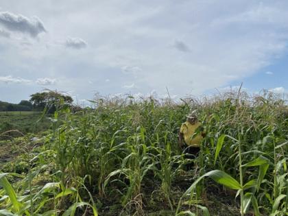 CHRISTOPHER VONDRACEK/Minnesota Star Tribune/TNS