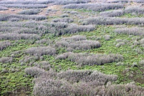 Carl Juste/Miami Herald/TNS