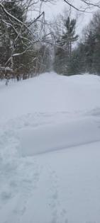 Phillip Fry, The Detroit News/The Detroit News/TNS