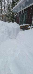 Phillip Fry, The Detroit News/The Detroit News/TNS