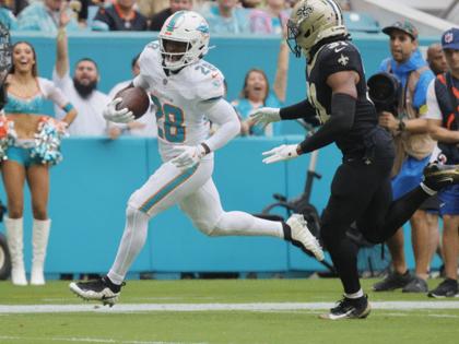 Joe Cavaretta/South Florida Sun-Sentinel/TNS