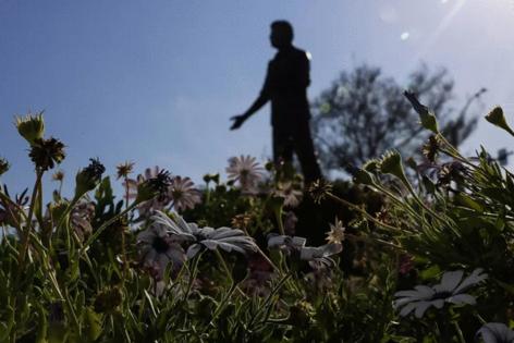 Kayla Bartkowski/Los Angeles Times/TNS