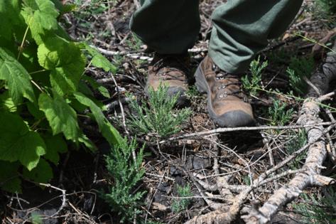 Robyn Beck/AFP/GETTY IMAGES NORTH AMERICA/TNS
