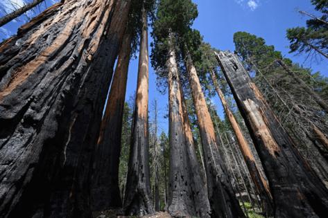 Robyn Beck/AFP/GETTY IMAGES NORTH AMERICA/TNS
