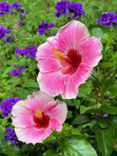 Norman Winter/Norman Winter/TNS