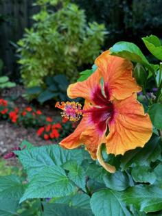 Norman Winter/Norman Winter/TNS