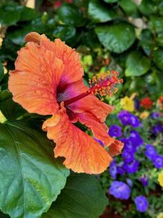 Norman Winter/Norman Winter/TNS