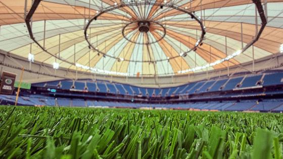 Dirk Shadd/Tampa Bay Times/TNS