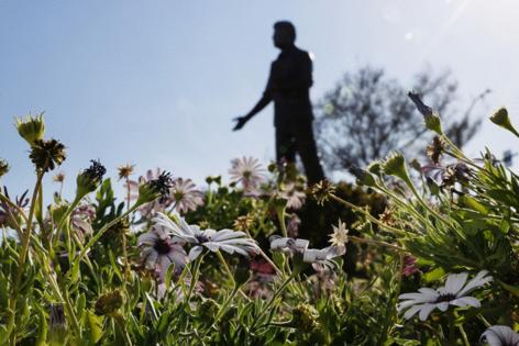 Kayla Bartkowski/Los Angeles Times/TNS