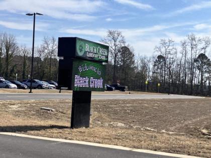 Sammy Fretwell/The State/TNS