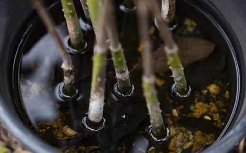 Photo by Matias J. Ocner/Miami Herald/TNS