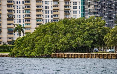 Pedro Portal/El Nuevo Herald/TNS