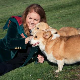 Bang Showbiz / Sarah Ferguson has denied claims she planned to take part in a reality television series involving cloning Queen Elizabeth's corgis