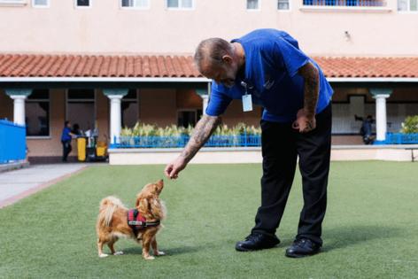 Kristian Carreon/The San Diego Union-Tribune/TNS