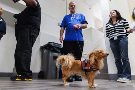 Kristian Carreon/The San Diego Union-Tribune/TNS