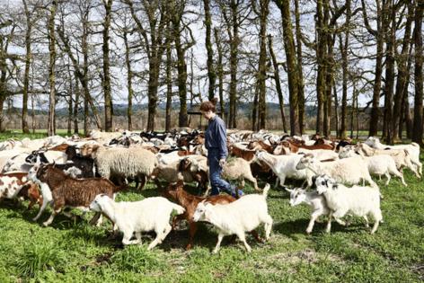 Kevin Clark/The Seattle Times/TNS