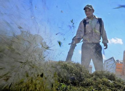 Charles Mostoller/Miami Herald/TNS