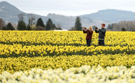 Nick Wagner/The Seattle Times/TNS